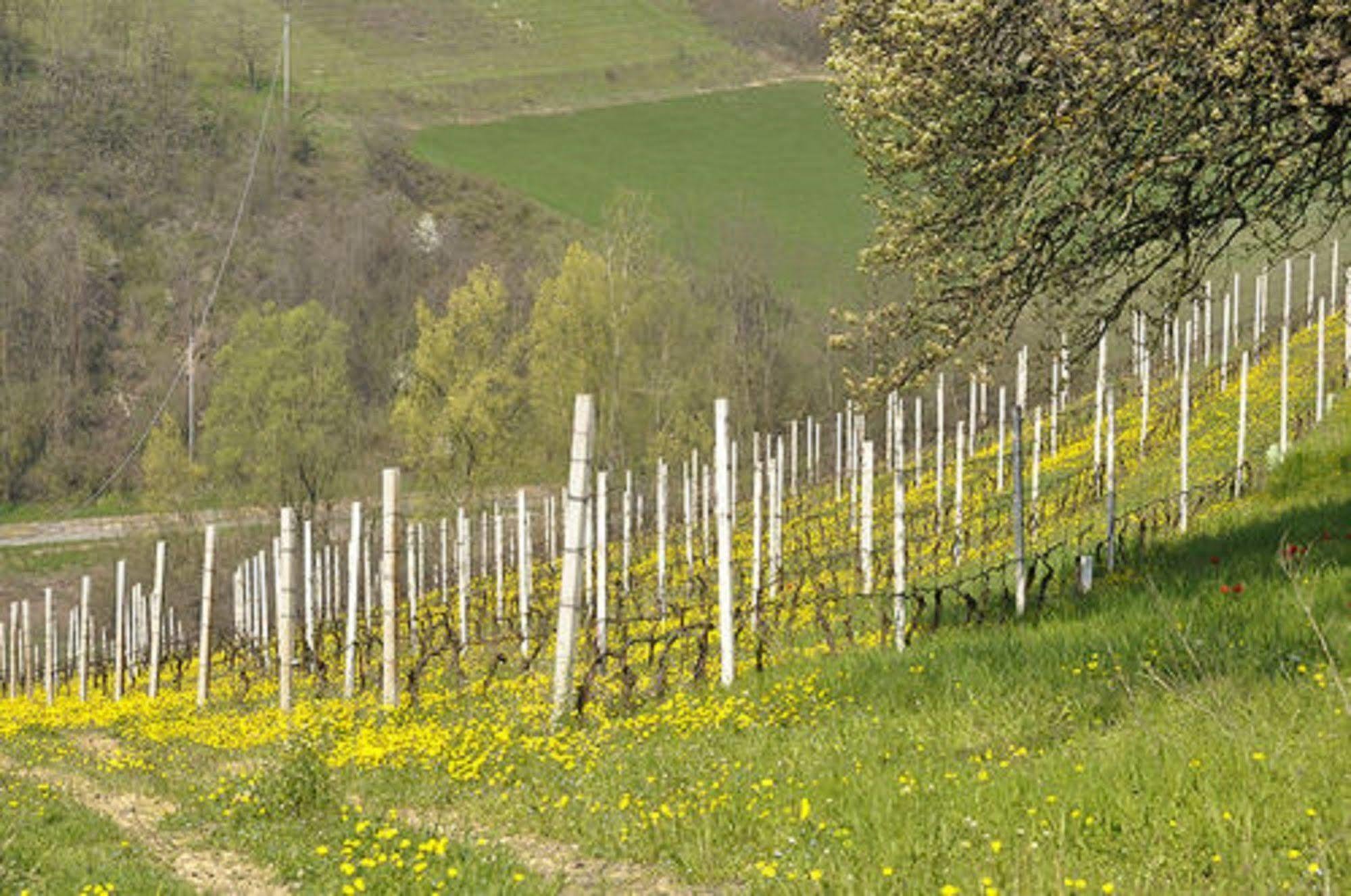 Agriturismo Costa Dei Platani Acqui Terme Exterior foto